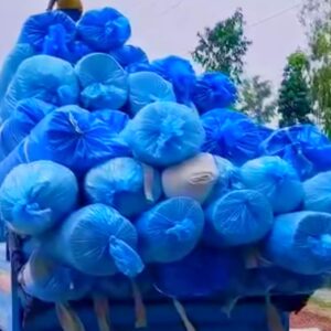 জিও সিট: নদী ভাঙ্গন ও পুকুর পাড় রক্ষার আধুনিক সমাধান